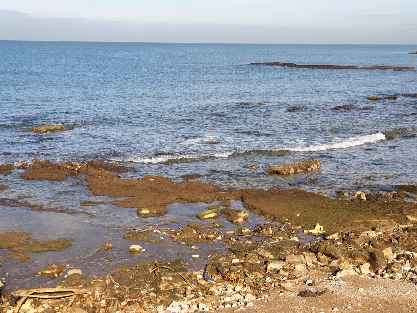 WhatsApp Image 2020-01-27 at 9.00.34 AM.jpeg.jpeg